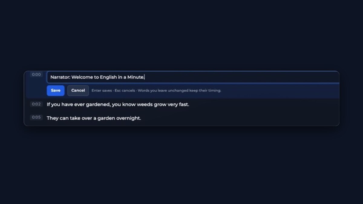 Transcript editor