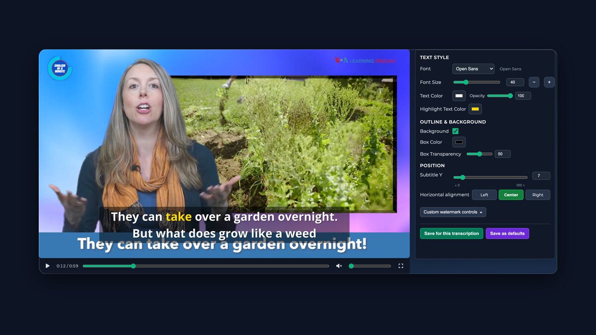Export video with subtitles